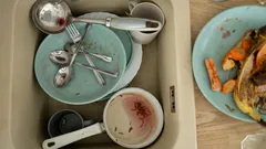 Why You Shouldn't Leave Dirty Dishes in the Sink Overnight—You Need to Know This