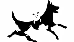 How Many Dogs Do You See? Your Answer Reveals Your Psychological Age