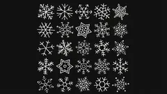 Visual Perception Challenge: Can You Find Two Identical Snowflakes in 15 Seconds?