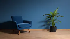 Seven Classic Interior Colors That Instantly Make Your Home Look Elegant