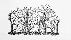 The first animal you see in the picture will reveal your true personality