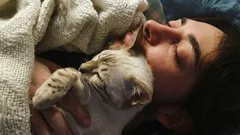 Why cats sleep on people: 11 reasons for this cute habit