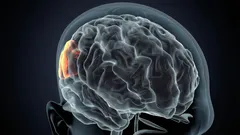 You need to know what consequences frequent sleep deprivation has on your brain.